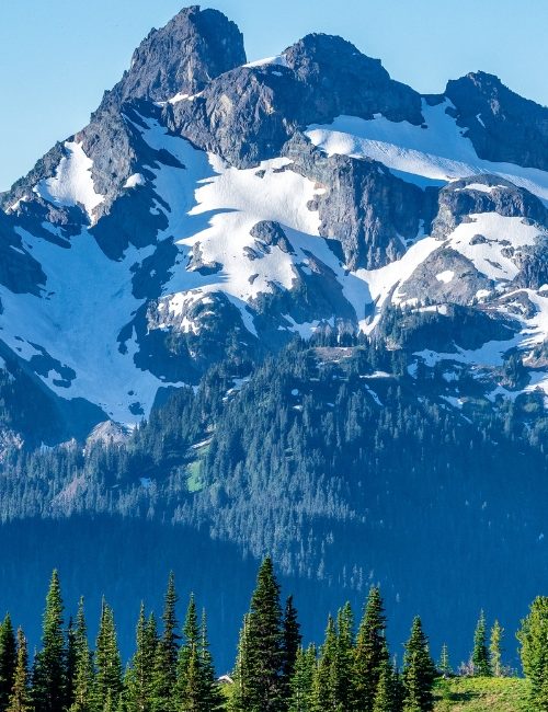 Mountains and Forest Landscape